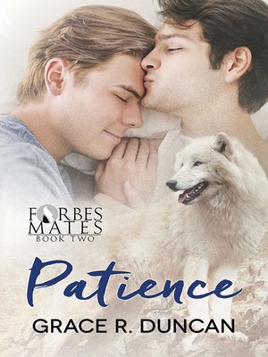 cover image of Patience